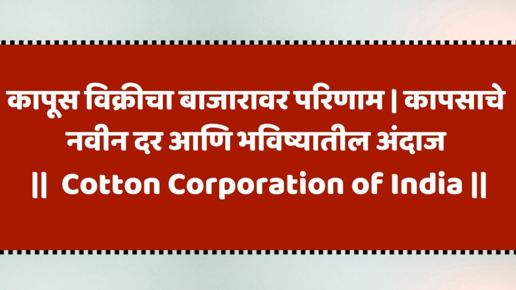 Cotton Corporation of India