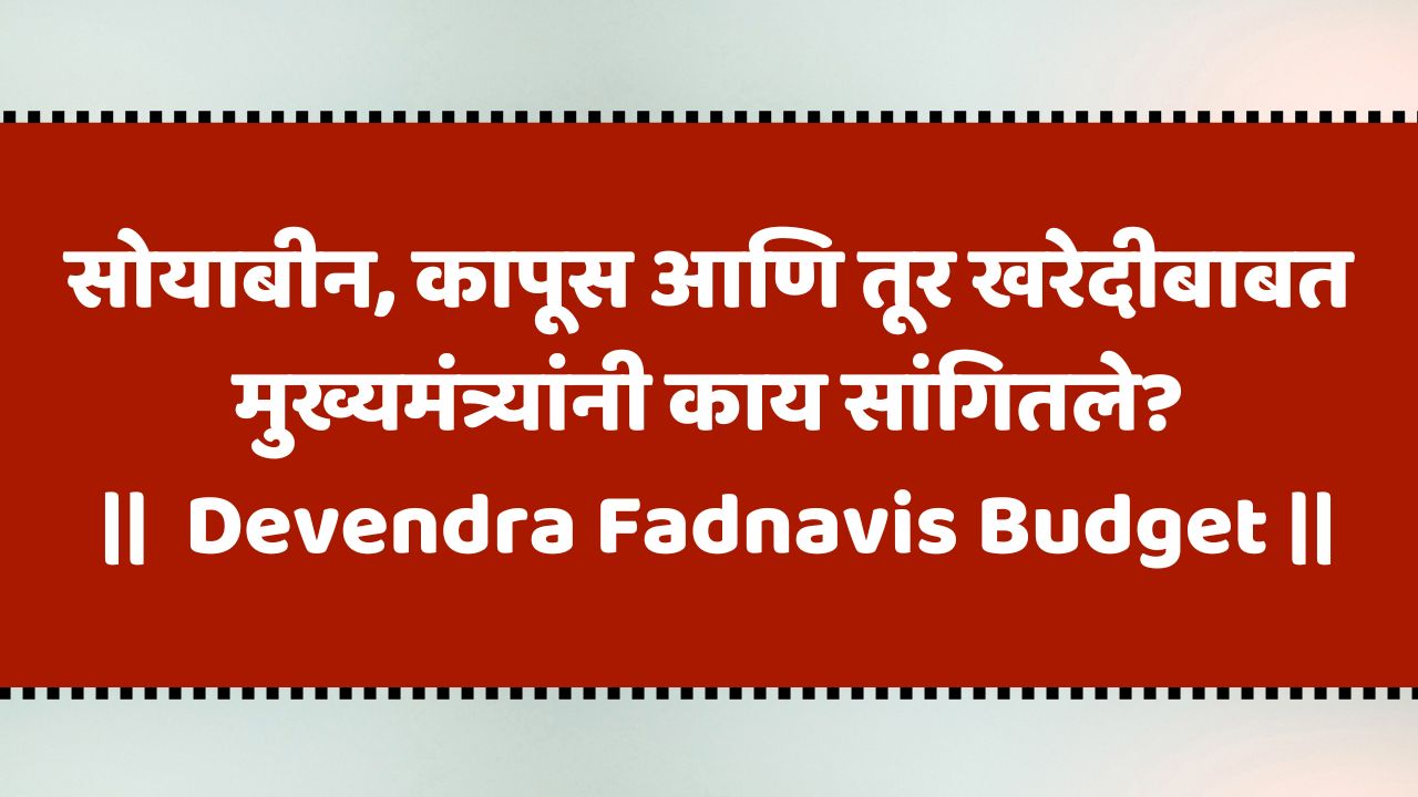 Devendra Fadnavis Budget: सोयाबीन, कापूस आणि तूर खरेदीबाबत मुख्यमंत्र्यांनी काय सांगितले?