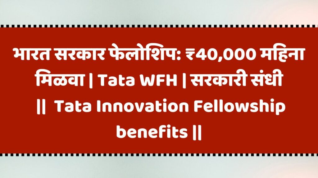 Tata Innovation Fellowship benefits