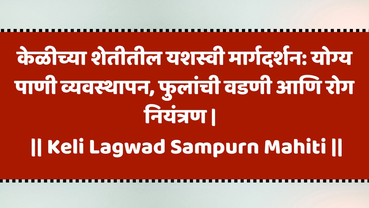 केळी लागवड संपूर्ण माहिती | Keli Lagwad Sampurn Mahiti | Banana Lagwad Mahiti